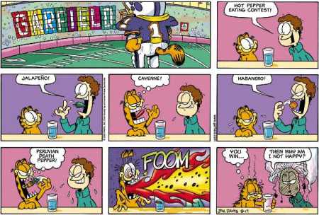 garfield-manga1.jpg