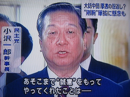 ozawa.houtyu3.jpg